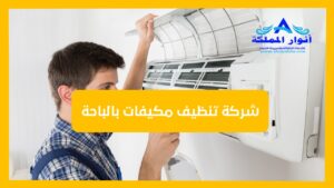 شركة تنظيف مكيفات بالباحة