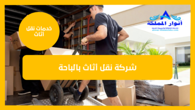 شركة نقل أثاث بالباحة